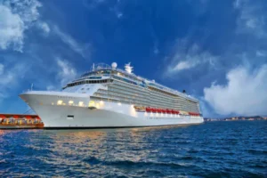 Cruise Excursion