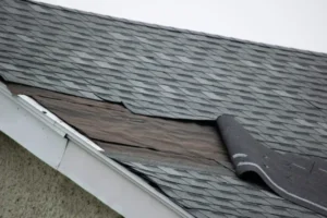 Roof Damage and Claims